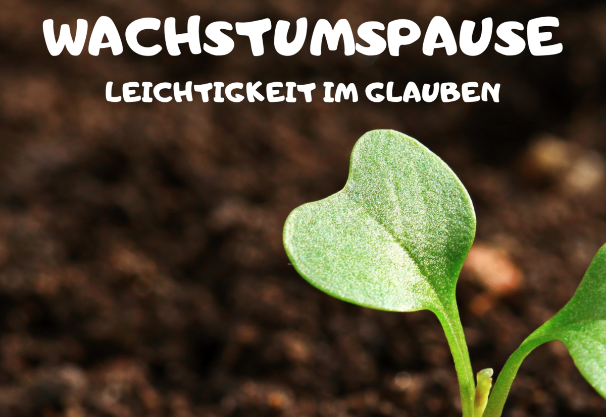 Flyer Wachstumspause